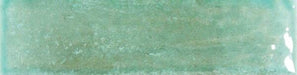 Brunei Sage Gloss tile – 65 × 250 mm
