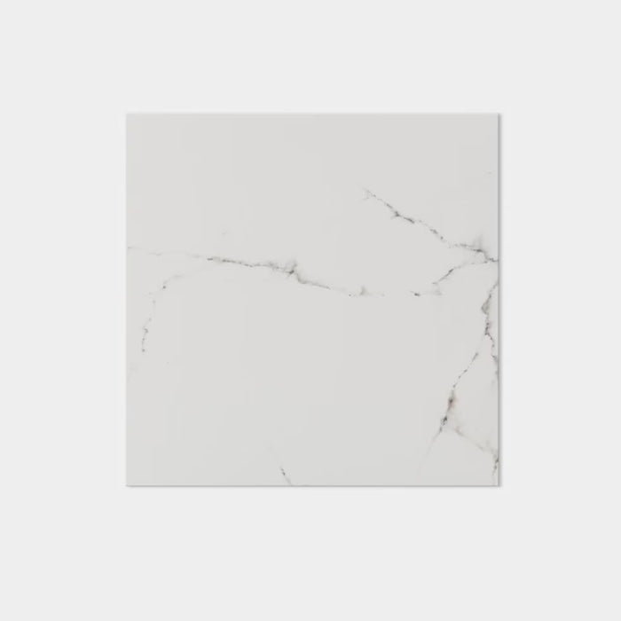 Carrara Blanco Gloss 44.3X44.3