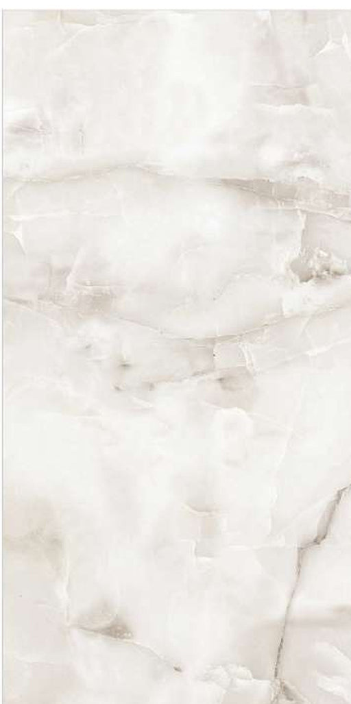 Aquarius Onyx Grey full gloss porcelain tile – 600 × 1200 mm