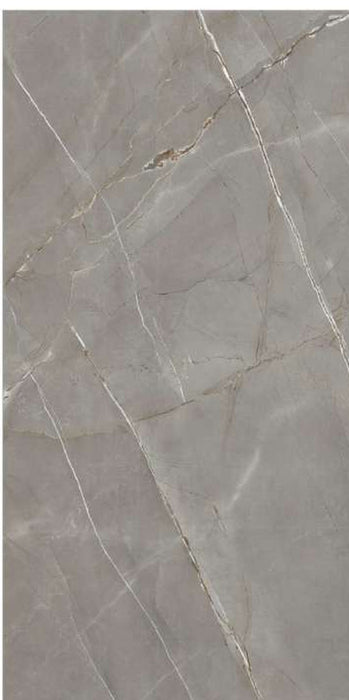 Arsenic Pigeon DK full gloss porcelain tile – 600 × 1200 mm