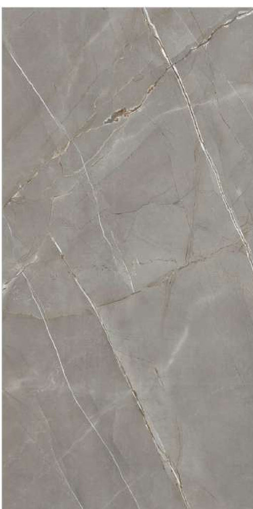 Arsenic Pigeon DK full gloss porcelain tile – 600 × 1200 mm